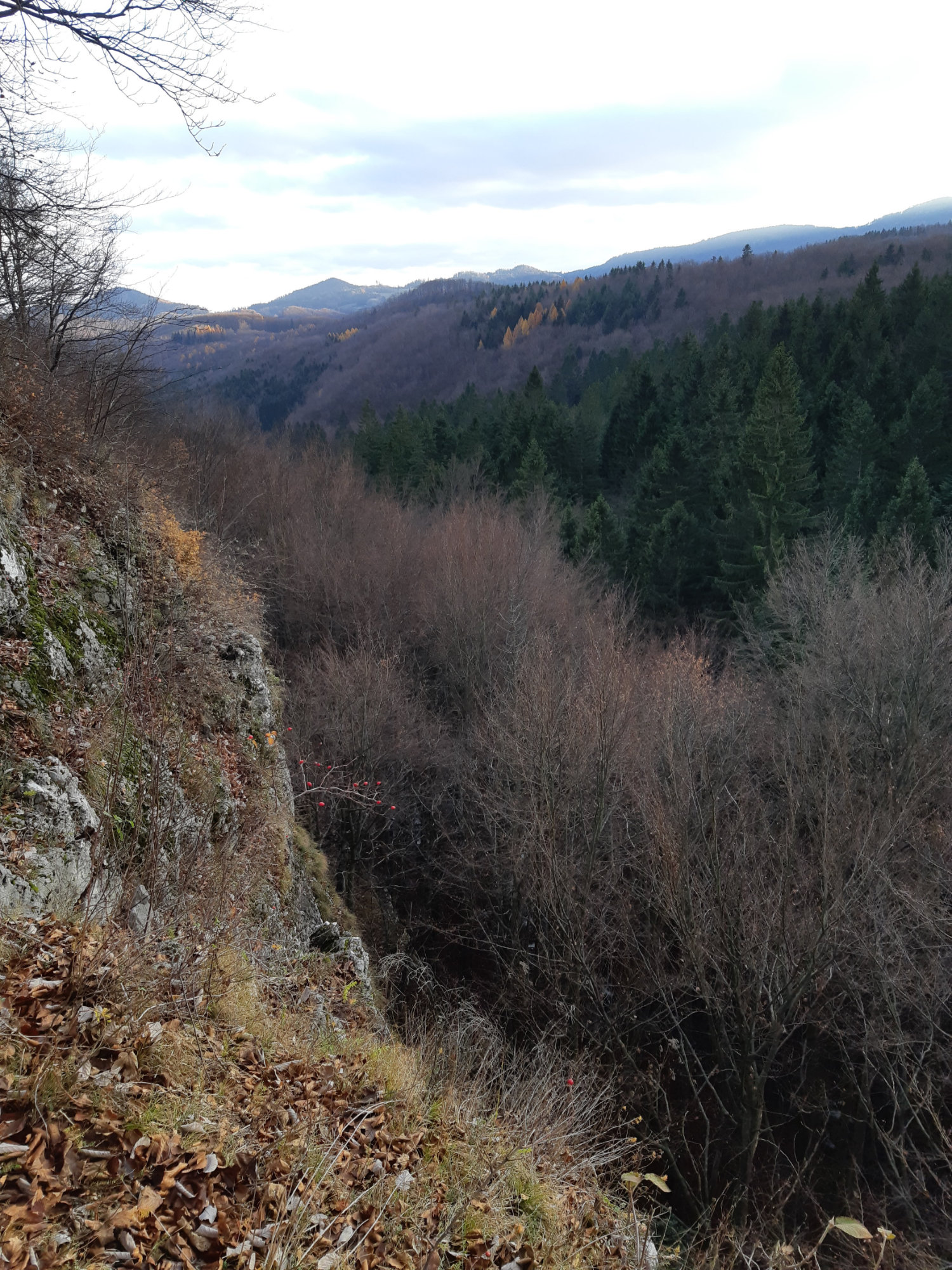 Tajovvalley naSlovensko